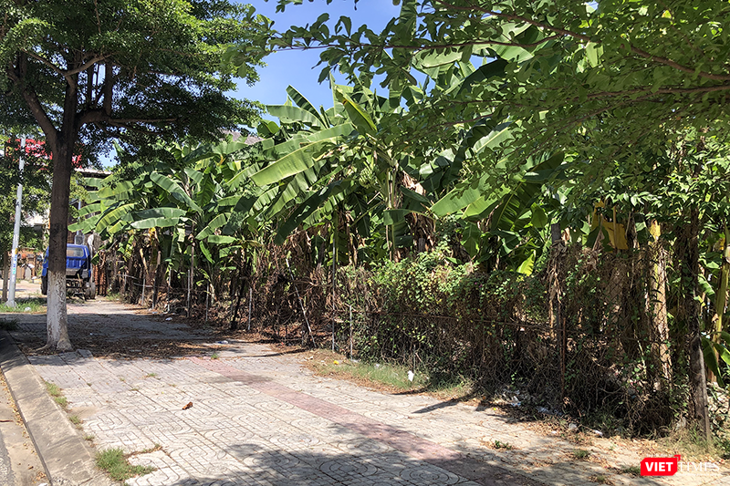 vt_luong thuc 16.png