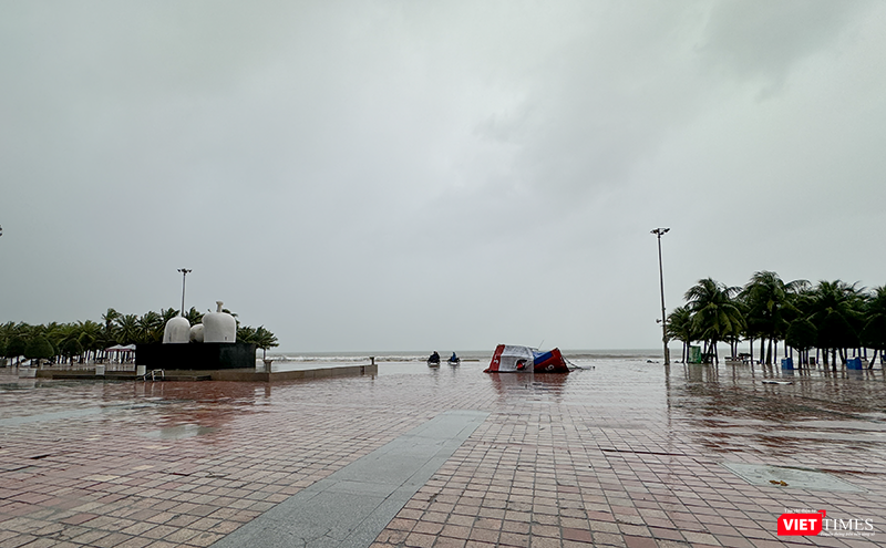 vt_bao tra mi da nang 2.png