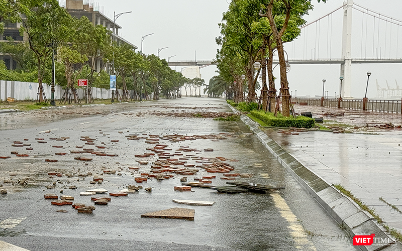 vt_bao tra mi da nang 20.png