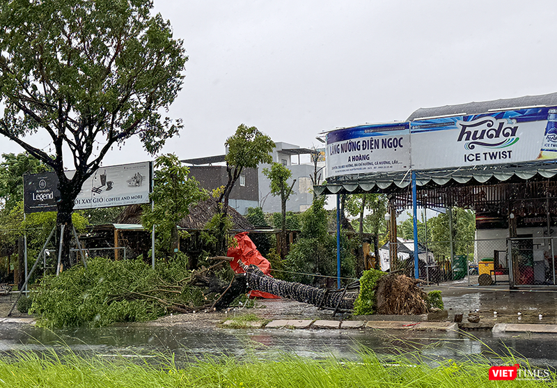 vt_bao tra mi da nang 26.png