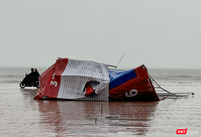 vt_bao tra mi da nang 3.png