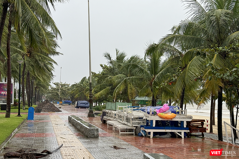 vt_bao tra mi da nang 5.png