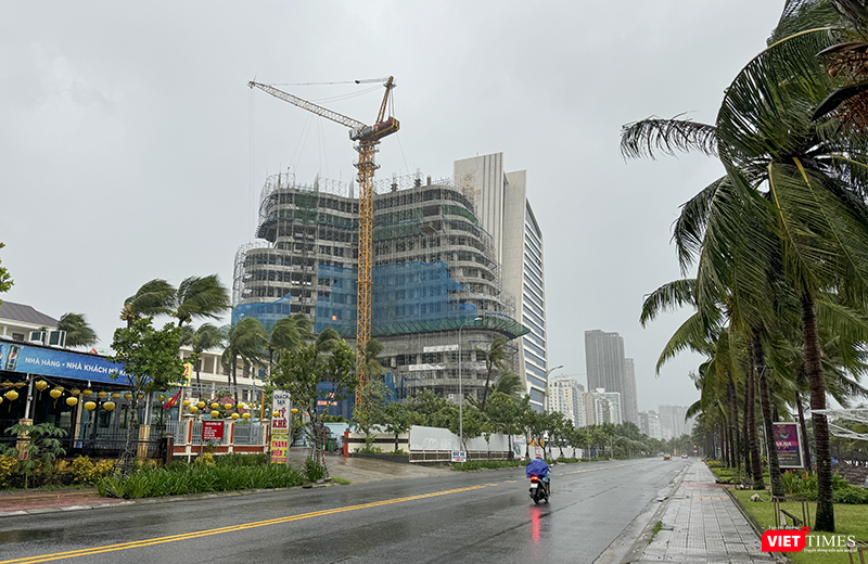 vt_bao tra mi da nang 6.png