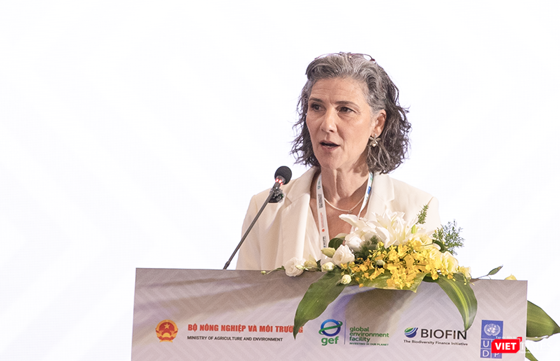 Bà Ramla Khalidi, Trưởng đại diện thường trú UNDP tại Việt Nam vt_ba dai dien undp.png