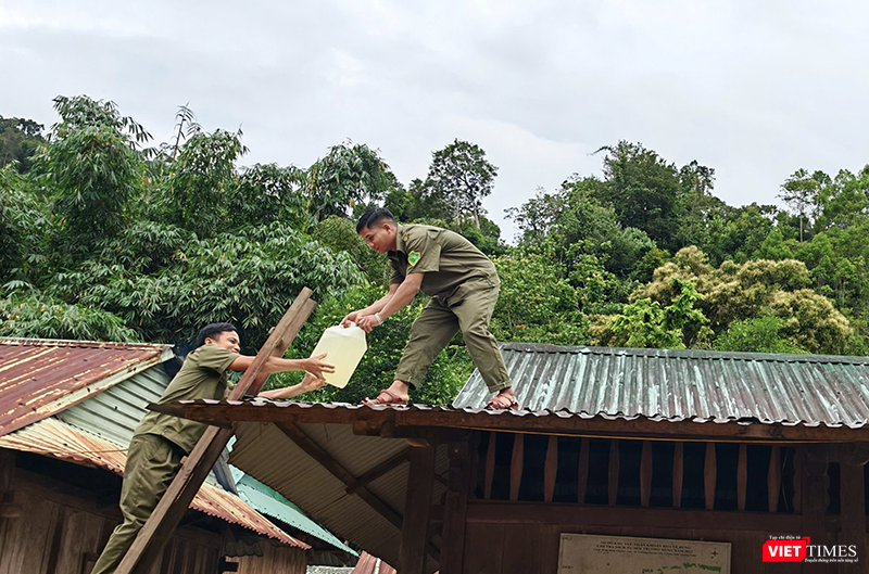 vt_ung pho bao 1.png