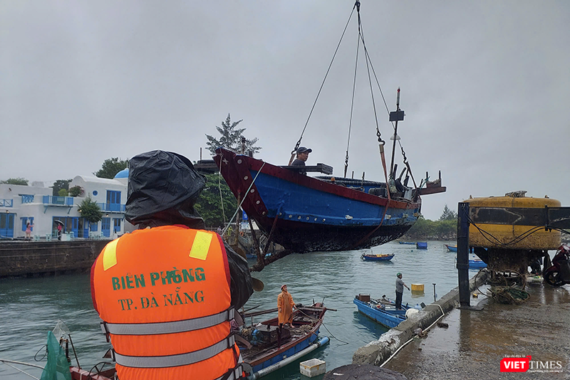 vt_ung pho bao 13.png