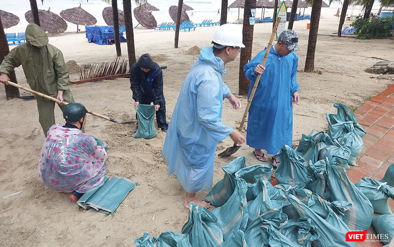 vt_ung pho bao 17.png