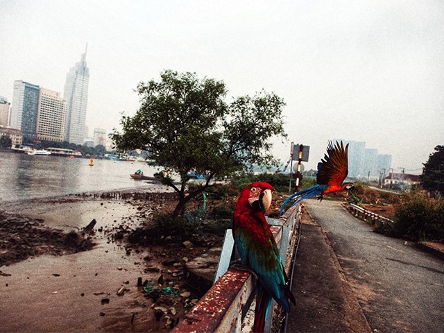 Khu đô thị mới Thủ Thiêm từng được kỳ vọng là trung tâm tài chính phố Đông của TP.HCM. Ảnh: Mai Kỳ, chụp năm 2015.