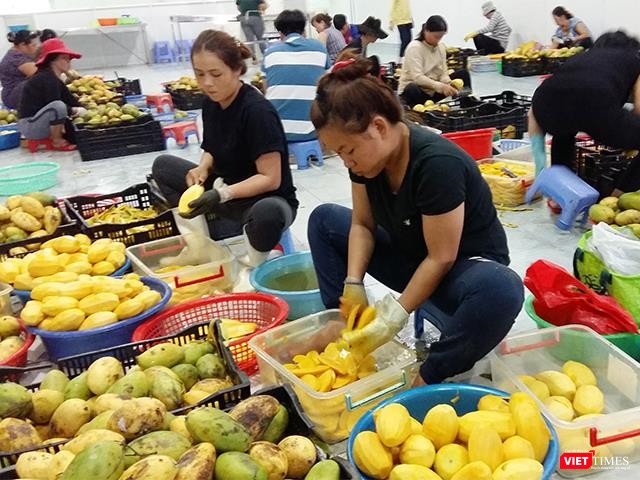 Nhà máy của bà Ba Sương tạo công ăn việc làm cho hàng trăm lao động là người địa phương.