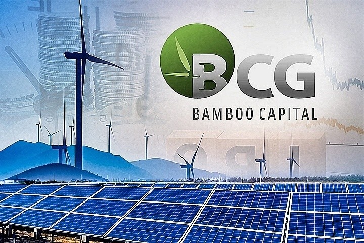 Hàng trăm triệu cổ phiếu "họ" Bamboo Capital chất giá sàn