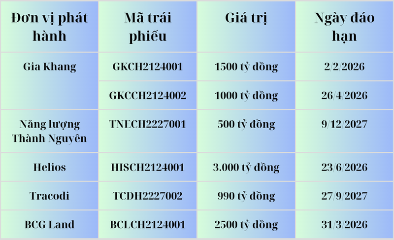 Một số lô trái phiếu của nhóm Bamboo Capital do TPS thu xếp phát hành đang lưu hành. anh-man-hinh-2025-03-24-luc-023455-2163-3710.png
