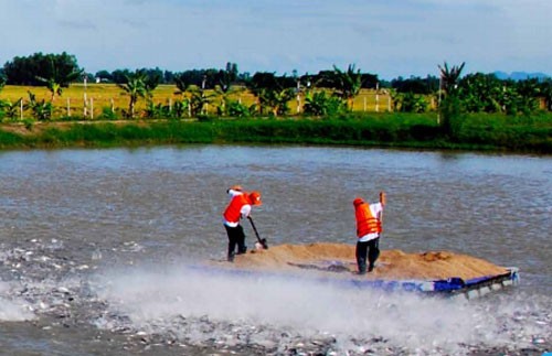 Đại gia miền Tây: Bản lĩnh vay ngàn tỷ rồi chuồn lẹ ảnh 2