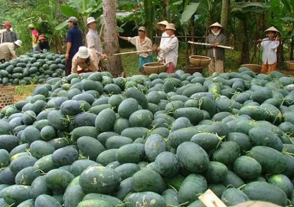 Bị đòi nợ, Bộ trưởng Công Thương liên tục "nhận trách nhiệm" ảnh 1