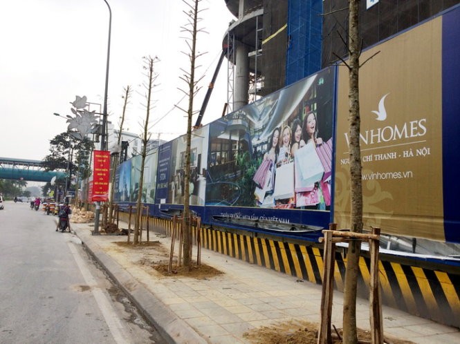 Cây trồng thay thế sau đó được xác định là cây mỡ. Tuy nhiên hiện nay số cây thay thế này lại chuẩn bị được thay thế tiếp - Ảnh: Lâm Hoài Cây trồng thay thế sau đó được xác định là cây mỡ. Tuy nhiên hiện nay số cây thay thế này lại chuẩn bị được thay thế tiếp - Ảnh: Lâm Hoài