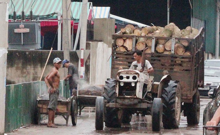 Thảm sát 6 người ở Bình Phước: Tổng lực điều tra vụ án mạng kinh hoàng ảnh 1 Thảm sát 6 người ở Bình Phước: Tổng lực điều tra vụ án mạng kinh hoàng ảnh 1