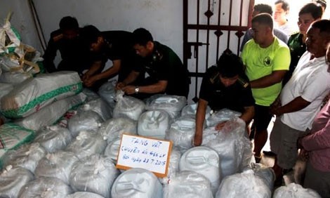 Kho chứa 5,5 tấn ma túy bị lực lượng chức năng thu giữ. Kho chứa 5,5 tấn ma túy bị lực lượng chức năng thu giữ.