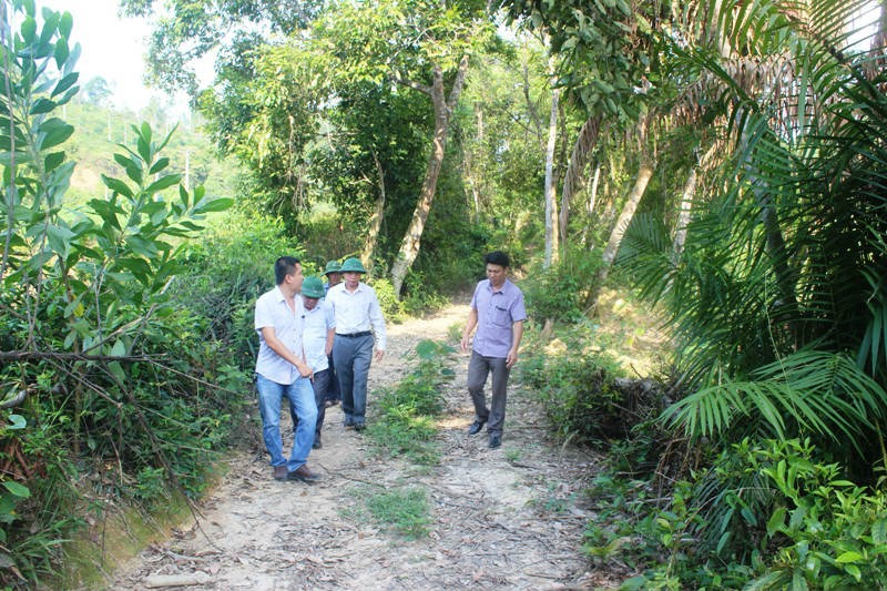 Chuyện lạ: Xây cầu 3,5 tỷ đồng phục vụ... 2 hộ dân ảnh 1