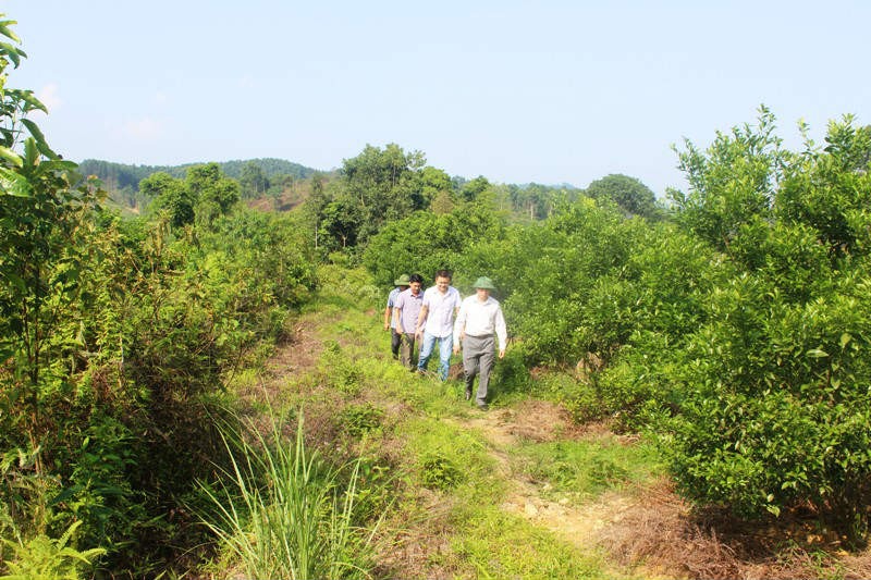 Chuyện lạ: Xây cầu 3,5 tỷ đồng phục vụ... 2 hộ dân ảnh 2