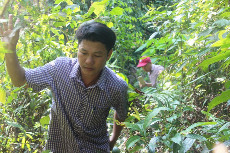 Chuyện lạ: Xây cầu 3,5 tỷ đồng phục vụ... 2 hộ dân ảnh 3