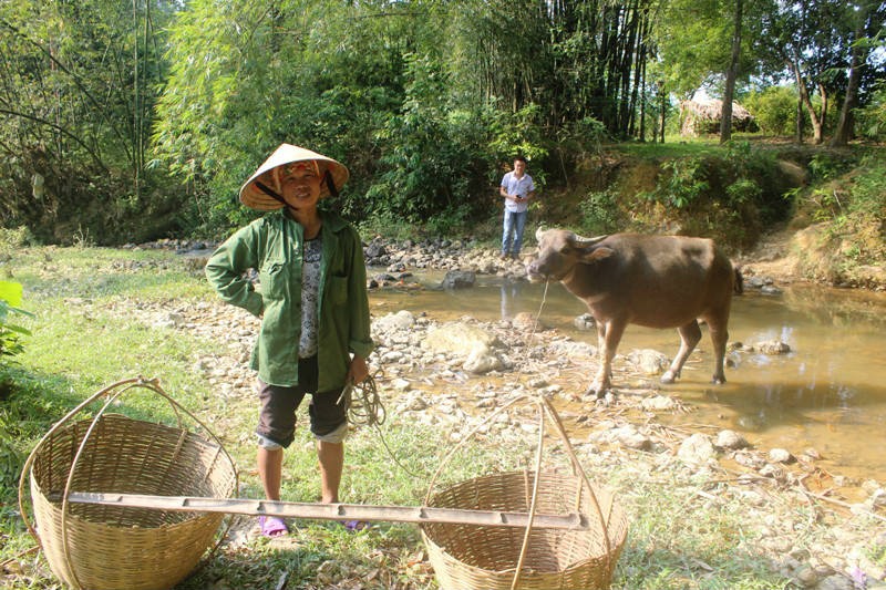 Chuyện lạ: Xây cầu 3,5 tỷ đồng phục vụ... 2 hộ dân ảnh 4