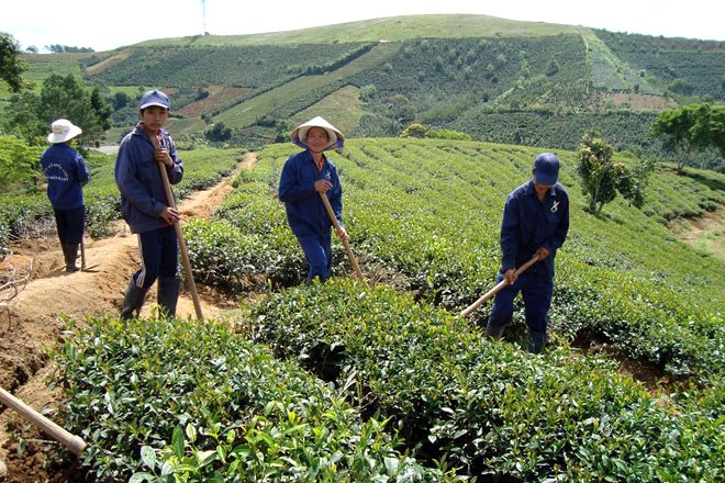 Nữ đại gia Việt chết ở Trung Quốc: Bạc mệnh hồng nhan ảnh 1 Nữ đại gia Việt chết ở Trung Quốc: Bạc mệnh hồng nhan ảnh 1