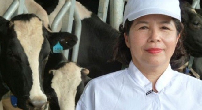 Bán con bò sữa tỷ đô: Nhà nghèo 'đếm cua trong lỗ' ảnh 2