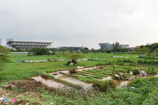 Dự án xây dựng siêu khách sạn Lotus của đại gia Đặng Thành Tâm trên khu đất vàng giữa thủ đô đã treo 4 năm, hiện được nhiều hộ dân mượn đất trồng rau, tăng gia thu nhập. Ảnh:Tiến Tuấn. Dự án xây dựng siêu khách sạn Lotus của đại gia Đặng Thành Tâm trên khu đất vàng giữa thủ đô đã treo 4 năm, hiện được nhiều hộ dân mượn đất trồng rau, tăng gia thu nhập. Ảnh:Tiến Tuấn.