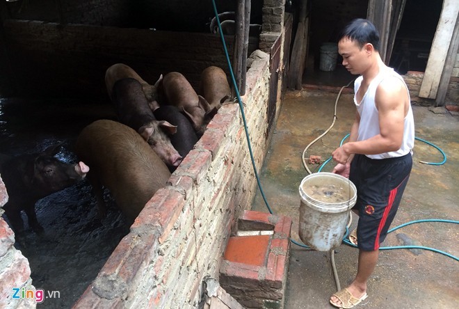 Chuồng lợn của gia đình Đỗ Văn Hiếu (Mễ Trì, quận Nam Từ Liêm, Hà Nội) được đặt trên đất dự án PVN Tower. Ảnh:Anh Tuấn. Chuồng lợn của gia đình Đỗ Văn Hiếu (Mễ Trì, quận Nam Từ Liêm, Hà Nội) được đặt trên đất dự án PVN Tower. Ảnh:Anh Tuấn.