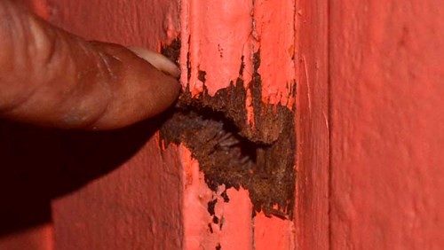 Kinh hoàng phút sinh tử trước họng súng kẻ bắn chết ngư dân Trường Sa ảnh 4 Kinh hoàng phút sinh tử trước họng súng kẻ bắn chết ngư dân Trường Sa ảnh 4