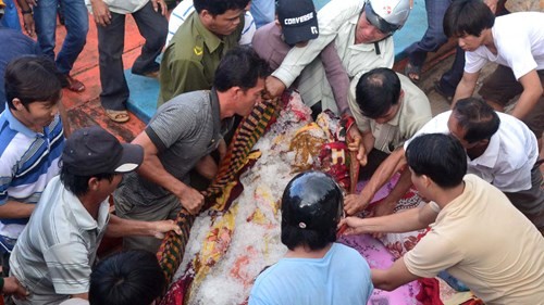 Kinh hoàng phút sinh tử trước họng súng kẻ bắn chết ngư dân Trường Sa ảnh 1 Kinh hoàng phút sinh tử trước họng súng kẻ bắn chết ngư dân Trường Sa ảnh 1