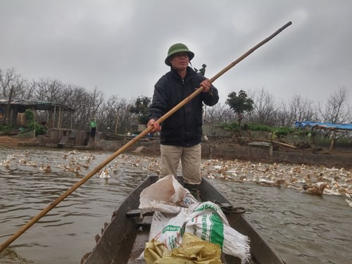 Anh em ông Đoàn Văn Vươn, người đàn ông 'vịt biển' của gia đình - ảnh 2