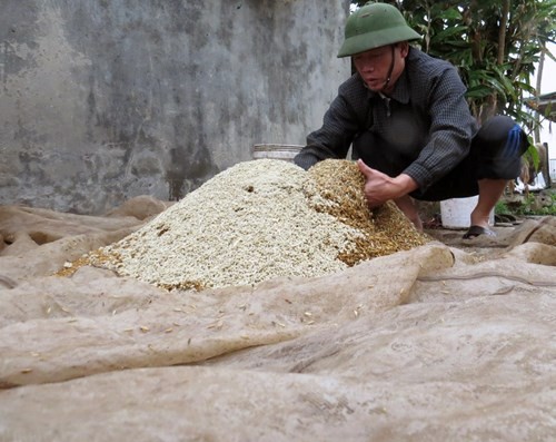 Anh em ông Đoàn Văn Vươn, người đàn ông 'vịt biển' của gia đình - ảnh 1