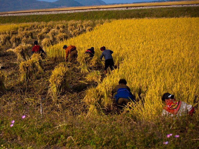 Triều Tiên kết thân với ASEAN vì lợi nhuận kinh tế ảnh 1