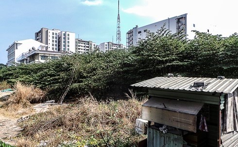 TP.HCM: Bao nhiêu khu “đất vàng” bị bỏ hoang? ảnh 3