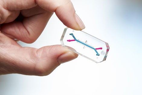 Chip phổi đoạt giải thưởng thiết kế của Viện Wyss Đại học Havard. Chip phổi đoạt giải thưởng thiết kế của Viện Wyss Đại học Havard.