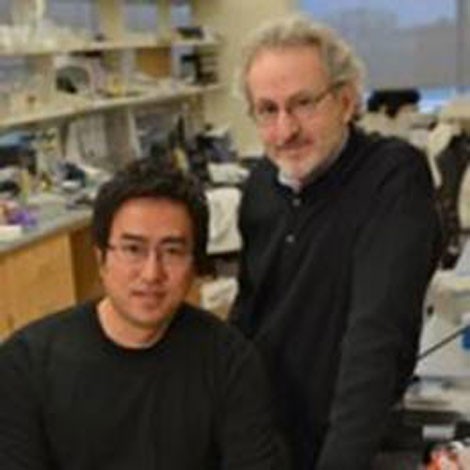 Dan Dongeun Huh (trái) và Donald Ingber. Dan Dongeun Huh (trái) và Donald Ingber.