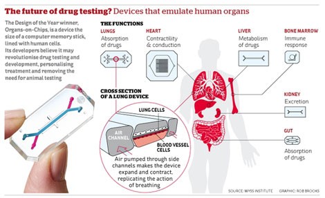 Những con chip được phát triển với mọi cơ quan người trong tương lai. Những con chip được phát triển với mọi cơ quan người trong tương lai.