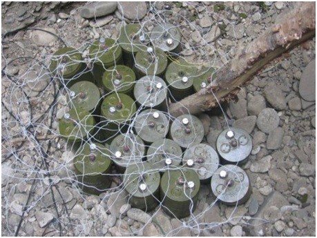 Vũ khí nào có thể ngăn chặn chiến thuật “biển người' ở biên giới, hải đảo? ảnh 5