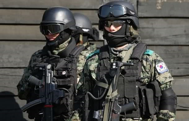 Những lực lượng uy mãnh của hải quân Hàn Quốc ảnh 7