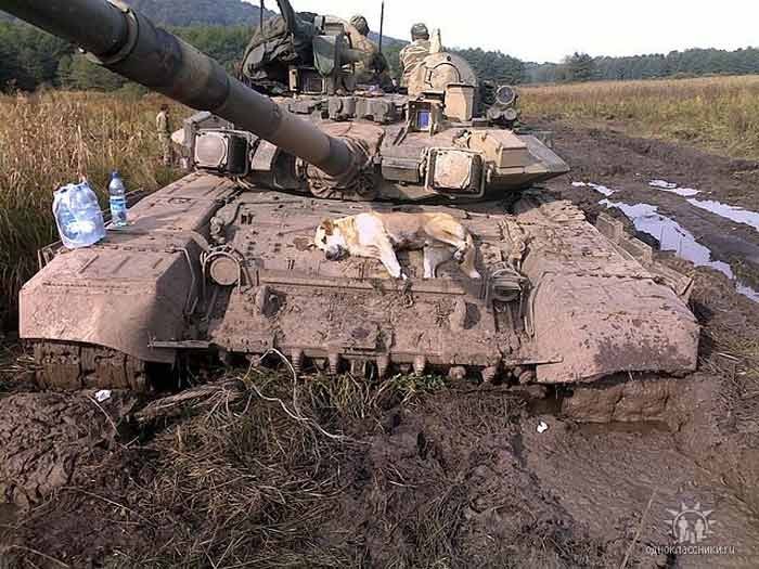 Tăng T-90 Việt Nam tính mua - “hung thần” uy mãnh trên chiến trường ảnh 3 Tăng T-90 Việt Nam tính mua - “hung thần” uy mãnh trên chiến trường ảnh 3