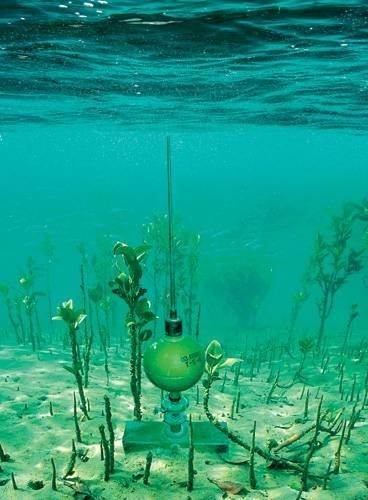 Mìn chống đổ bộ đáy biển. Mìn chống đổ bộ đáy biển.