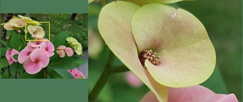 Đánh giá smartphone Samsung Galaxy S7 ảnh 4 Đánh giá smartphone Samsung Galaxy S7 ảnh 4