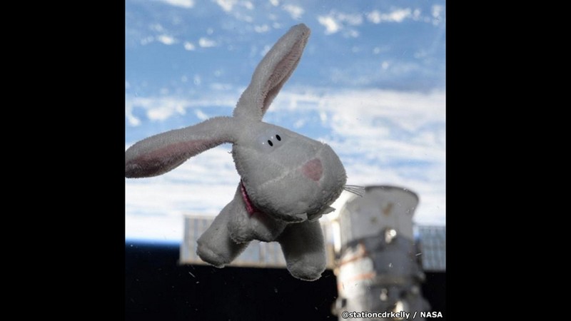 Những bức ảnh kỳ thú của Trái đất từ trạm không gian ISS ảnh 13