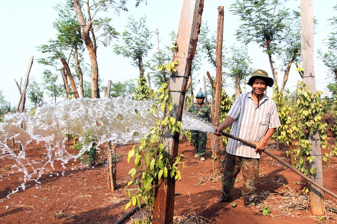 Tây Nguyên 'oằn' mình trong đại hạn lịch sử ảnh 24