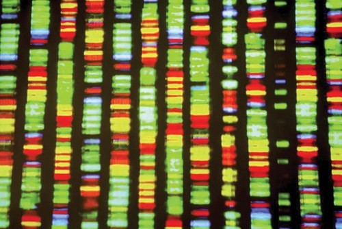 Alphabet 2016: Những dự án không tưởng đang trở nên hiện thực  ảnh 15