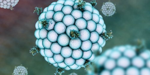 Alphabet 2016: Những dự án không tưởng đang trở nên hiện thực  ảnh 9