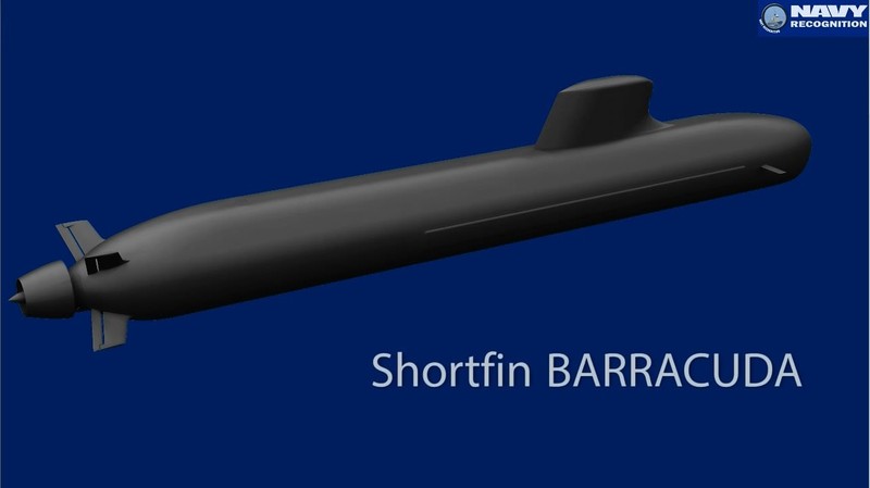 Shortfin Barracudas