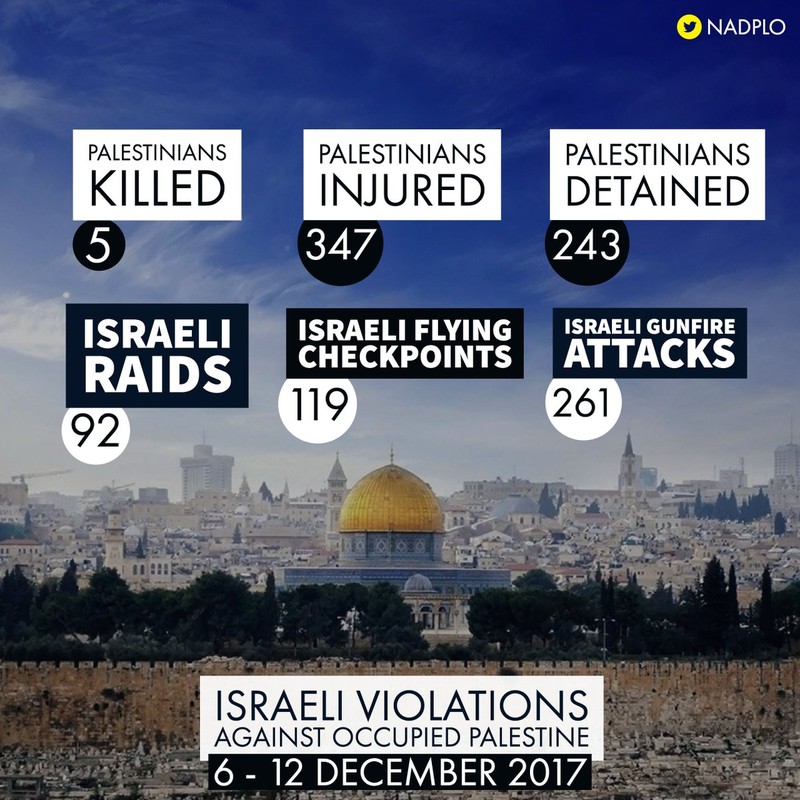 Hơn 50 người Palestine bị thương trong các cuộc biểu tình chống Israel ảnh 1 Hơn 50 người Palestine bị thương trong các cuộc biểu tình chống Israel ảnh 1