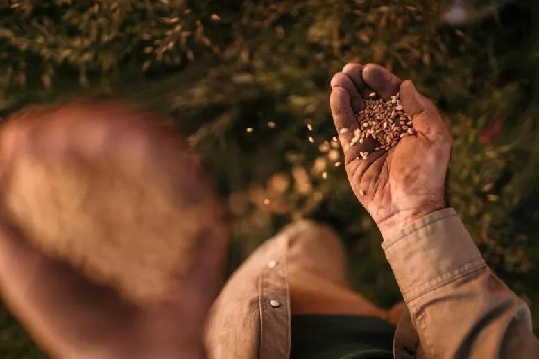 Sử dụng phụ phẩm cây trồng và phụ phẩm thực phẩm trong chăn nuôi và nuôi trồng thủy sản sẽ giải phóng nguồn nguyên liệu, được sử dụng để nuôi sống con người. Ảnh SciTechDaily Sử dụng phụ phẩm cây trồng và phụ phẩm thực phẩm trong chăn nuôi và nuôi trồng thủy sản sẽ giải phóng nguồn nguyên liệu, được sử dụng để nuôi sống con người. Ảnh SciTechDaily