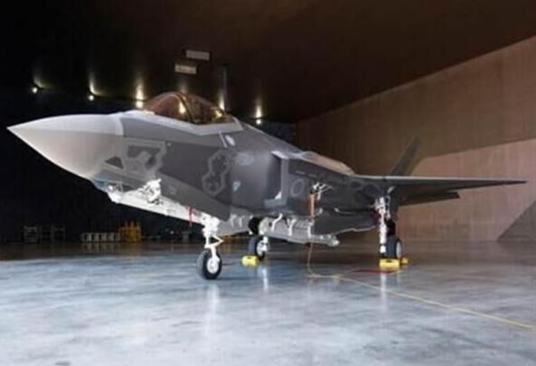 Trung tuần tháng 8/2016, chiếc máy bay chiến đấu tàng hình F-35 đầu tiên của Lực lượng Phòng vệ Trên không Nhật Bản được chế tạo xong. Ảnh: Tin tức Tham khảo, Trung Quốc.
